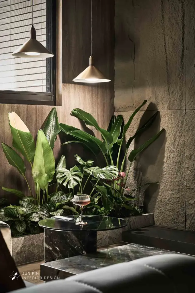 在客廳放置蕨類打造都會叢林風感